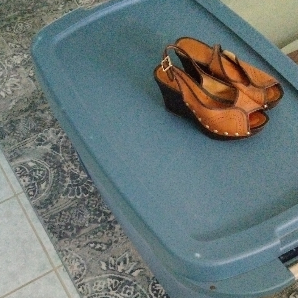 Brown Wedge Sandals with Gold Buckle